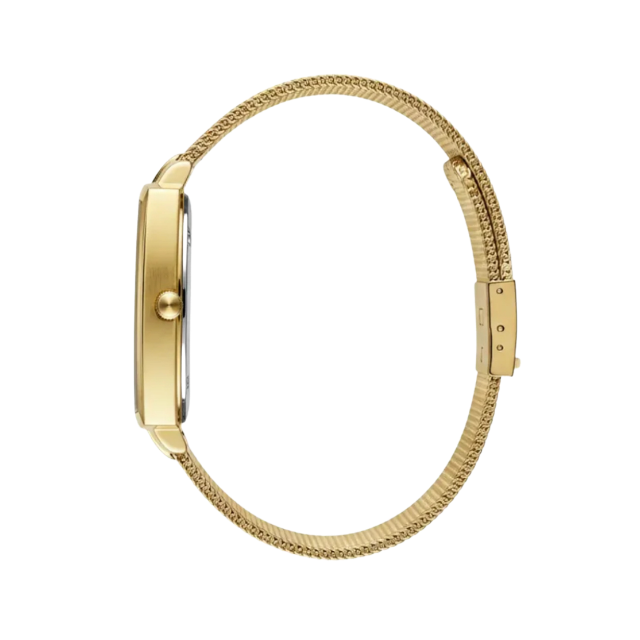 Legacy - Gold
