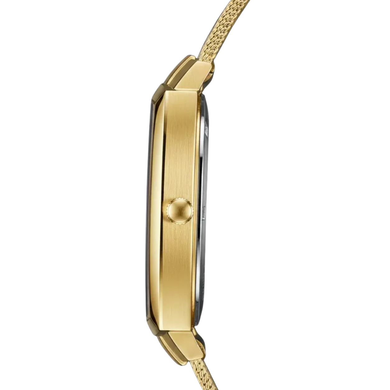 Legacy - Gold